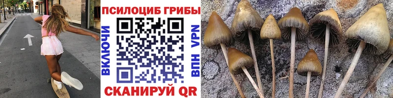 Псилоцибиновые грибы ЛСД  нарко площадка Telegram  Арск 